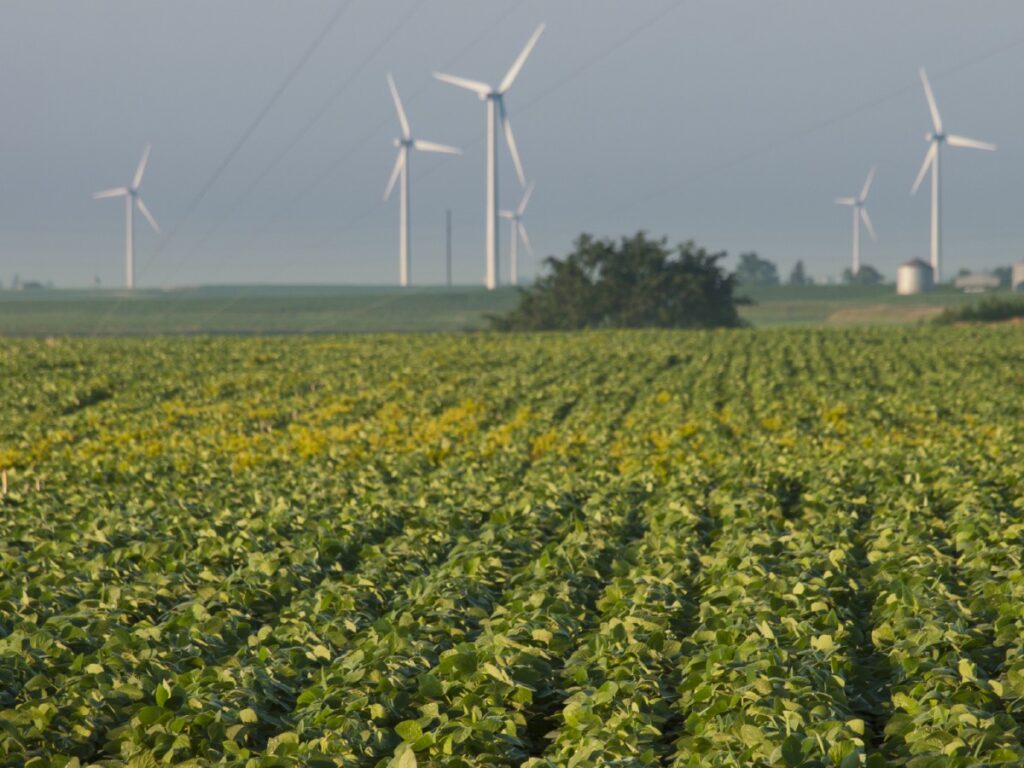 Wind turbines farm at sunrise in Iowa.